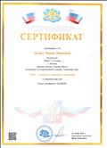 Сертификат Международный образовательный портал "Солнечный свет" 2020г