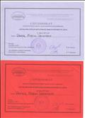 Сертификат участника НИКиПРО 2017г